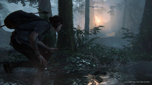 Купить Игра The Last of Us: Part II (PS4)  1399285. Характеристики, отзывы и цены в Донецке