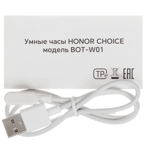 Купить Смарт-часы HONOR CHOICE Watch  5447786. Характеристики, отзывы и цены в Донецке