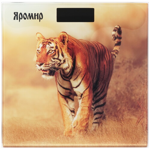 Купить Весы Яромир ЯР-4201 разноцветный  8128868. Характеристики, отзывы и цены в Донецке