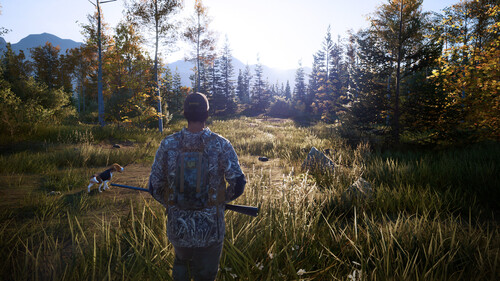 Купить Игра Hunting Simulator 2: Bear Hunter Edition (Steam)  5622354. Характеристики, отзывы и цены в Донецке