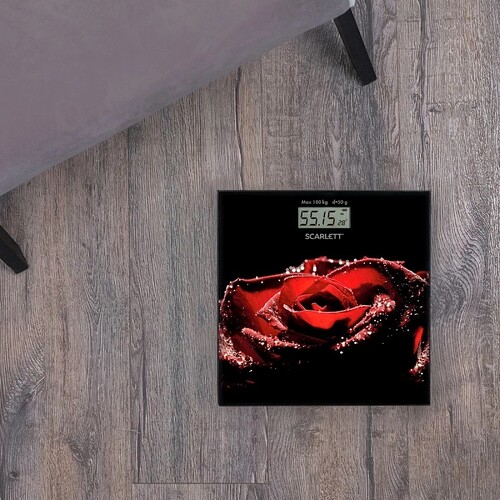 Купить Весы Scarlett SC-BS33E028 разноцветный  9165193. Характеристики, отзывы и цены в Донецке