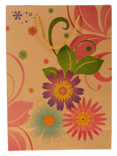 Купить Пакет подарочный Сима-Ленд Рисунок  1001595. Характеристики, отзывы и цены в Донецке