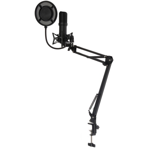 Купить Микрофонный комплект YANMAI Q10B черный  5481939. Характеристики, отзывы и цены в Донецке