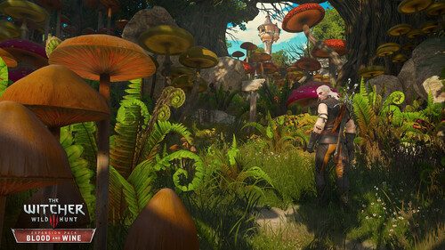 Купить Игра The Witcher 3: Wild Hunt - Game of the Year Edition (GOG)  5601343. Характеристики, отзывы и цены в Донецке