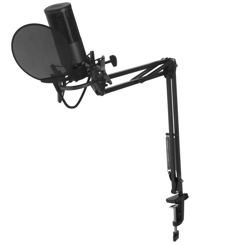 Купить Микрофонный комплект YANMAI X2 черный  5481951. Характеристики, отзывы и цены в Донецке