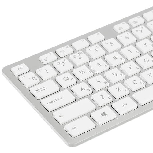 Купить 23.8" Моноблок ASUS Vivo V241EAK-WA115M  5406018. Характеристики, отзывы и цены в Донецке