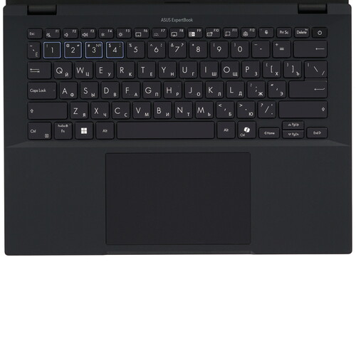 Купить 14" Ноутбук ASUS ExpertBook B3404CVA-Q50244 черный  5493873. Характеристики, отзывы и цены в Донецке