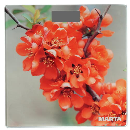 Купить Весы Marta MT-1678 разноцветный  8166516. Характеристики, отзывы и цены в Донецке