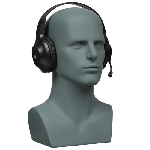 Купить Проводные наушники Aceline GL7007 черный 2025  9152866. Характеристики, отзывы и цены в Донецке