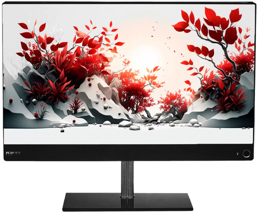 Купить 23.8" Моноблок RDW Personal 23 BA [RDW PERSONAL 23 BA]  5358425. Характеристики, отзывы и цены в Донецке