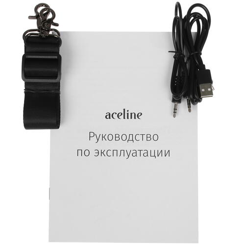 Купить Портативная колонка Aceline P570, черный  5075336. Характеристики, отзывы и цены в Донецке