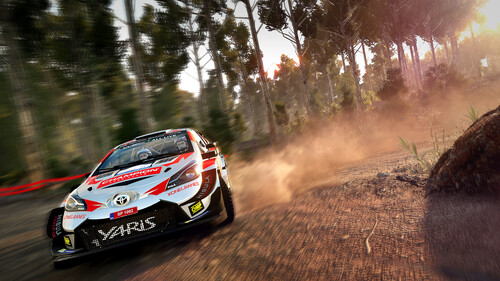 Купить Игра WRC 8 FIA World Rally Championship - Deluxe Edition (Steam)  5622485. Характеристики, отзывы и цены в Донецке