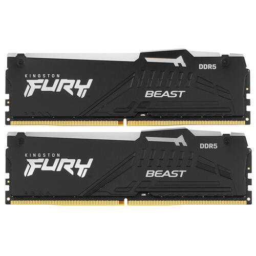 Купить Оперативная память Kingston FURY Beast Black AMD RGB [KF560C36BBEAK2-64] 64 ГБ  5093278. Характеристики, отзывы и цены в Донецке