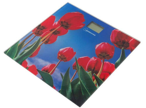 Купить Весы Homestar HS-6001I разноцветный  5359422. Характеристики, отзывы и цены в Донецке