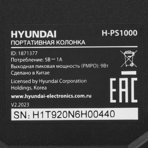 Купить Портативная колонка Hyundai H-PS1000, черный  5423619. Характеристики, отзывы и цены в Донецке