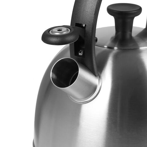 Купить Чайник для плиты Rondell Massimo RDS-1297 серебристый  4755883. Характеристики, отзывы и цены в Донецке