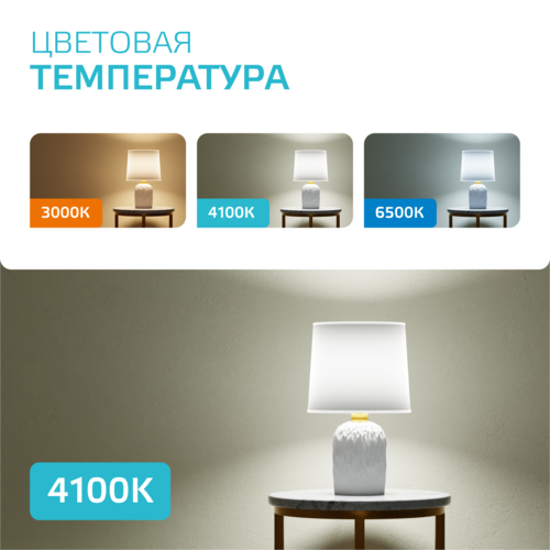 Купить Комплект светодиодных ламп Gauss Elementary 33128  5613084. Характеристики, отзывы и цены в Донецке