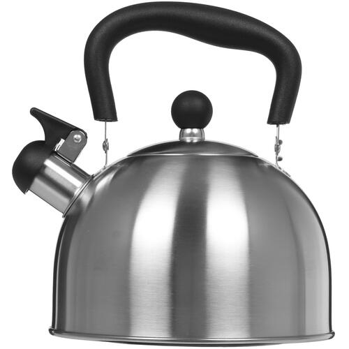 Купить Чайник для плиты Aceline TS-251 серебристый  1612226. Характеристики, отзывы и цены в Донецке