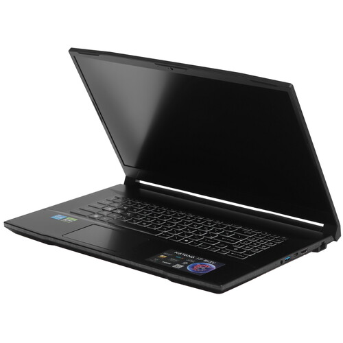 Купить 17.3" Ноутбук MSI Katana 17 B13VEK-1089XRU черный  5484660. Характеристики, отзывы и цены в Донецке