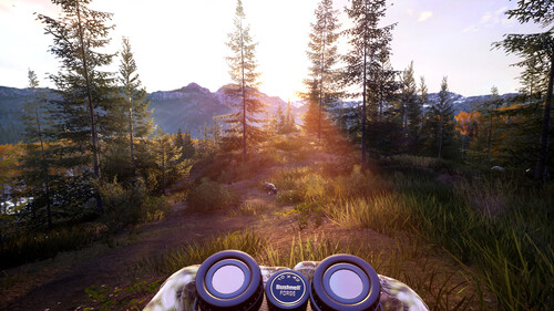 Купить Игра Hunting Simulator 2: Bear Hunter Edition (Steam)  5622354. Характеристики, отзывы и цены в Донецке
