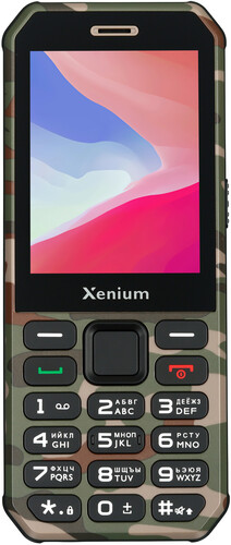 Купить Сотовый телефон Xenium X300 зеленый  9114193. Характеристики, отзывы и цены в Донецке