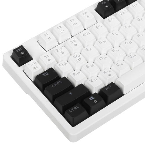 Купить Клавиатура проводная DEXP Omni  5415985. Характеристики, отзывы и цены в Донецке