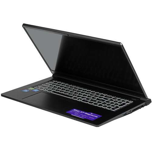 Купить 17.3" Ноутбук Machenike Star 17 Neptune серый  5628561. Характеристики, отзывы и цены в Донецке