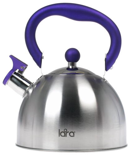 Купить Чайник для плиты Lara LR00-62 серебристый  1103766. Характеристики, отзывы и цены в Донецке