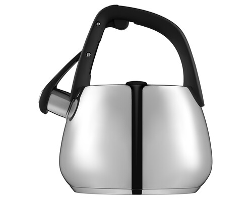 Купить Чайник для плиты Polaris Mela-2.5L серебристый  9140001. Характеристики, отзывы и цены в Донецке