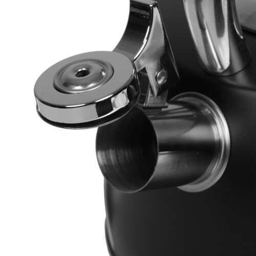 Купить Чайник для плиты Regent inox TEA 93-TEA-52 черный  5464014. Характеристики, отзывы и цены в Донецке