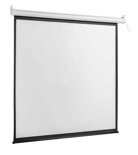 Купить 136" Экран для проектора DEXP WE-96  5406748. Характеристики, отзывы и цены в Донецке