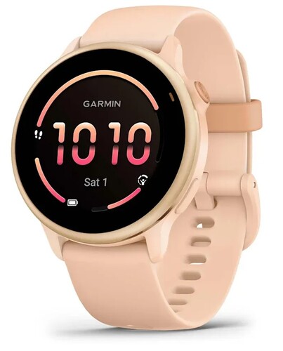 Купить Спортивные часы Garmin Vivoactive 6  5641613. Характеристики, отзывы и цены в Донецке