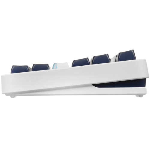 Купить Клавиатура проводная ARDOR GAMING Majestic  9231732. Характеристики, отзывы и цены в Донецке