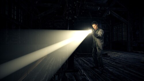 Купить Игра Alan Wake (Steam)  5484421. Характеристики, отзывы и цены в Донецке