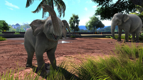 Купить Игра Zoo Tycoon: Ultimate Animal Collection (Steam)  5484589. Характеристики, отзывы и цены в Донецке