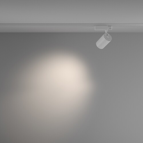 Купить Светильник трековый Maytoni TR029-3-20W4K-M-W  9169648. Характеристики, отзывы и цены в Донецке