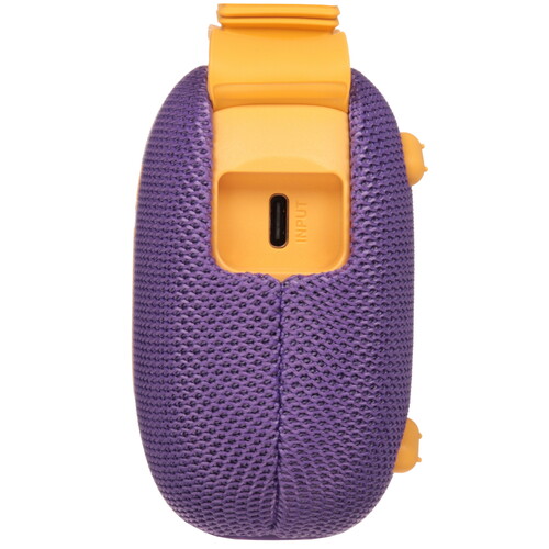 Купить Портативная колонка Anker Soundcore Select 4 Go, фиолетовый  5616937. Характеристики, отзывы и цены в Донецке