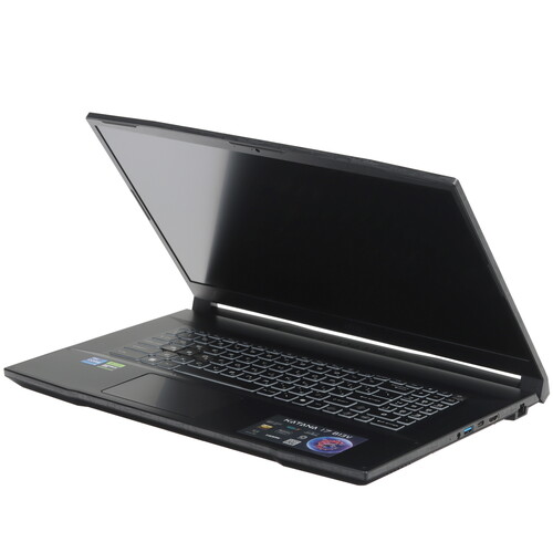 Купить 17.3" Ноутбук MSI Katana 17 B13VEK-1088XRU черный  5466886. Характеристики, отзывы и цены в Донецке
