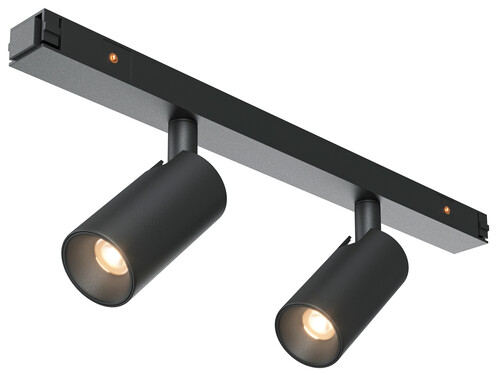 Купить Светильник трековый Maytoni TR176-1-2X3WTW-M-B  9169781. Характеристики, отзывы и цены в Донецке