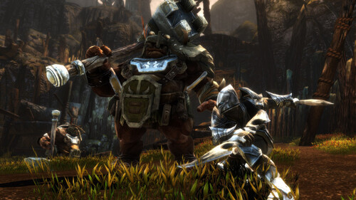 Купить Игра Kingdoms of Amalur: Re-Reckoning (Steam)  5484508. Характеристики, отзывы и цены в Донецке