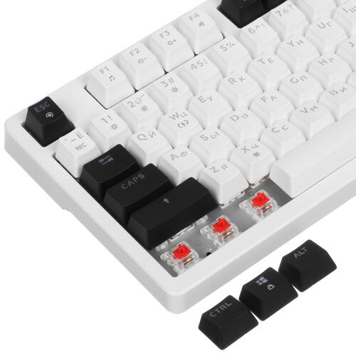 Купить Клавиатура проводная DEXP Omni  5415985. Характеристики, отзывы и цены в Донецке