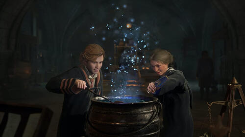 Купить Игра Hogwarts Legacy: Deluxe Edition (Switch)  5440263. Характеристики, отзывы и цены в Донецке