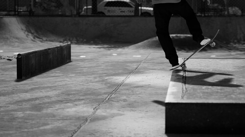 Купить Игра Session: Skate Sim - Supporter Edition (Steam)  5622424. Характеристики, отзывы и цены в Донецке