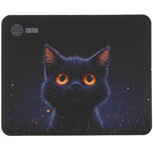 Купить Коврик Cactus Black Cat (S) разноцветный  9289086. Характеристики, отзывы и цены в Донецке