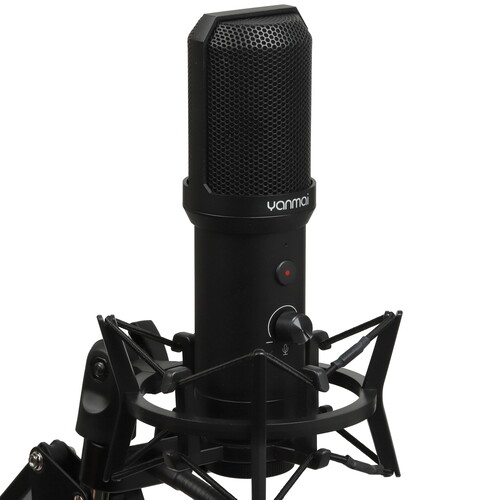 Купить Микрофонный комплект YANMAI Q10B черный  5481939. Характеристики, отзывы и цены в Донецке