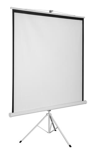 Купить 99" Экран для проектора DEXP TM-70  5406741. Характеристики, отзывы и цены в Донецке