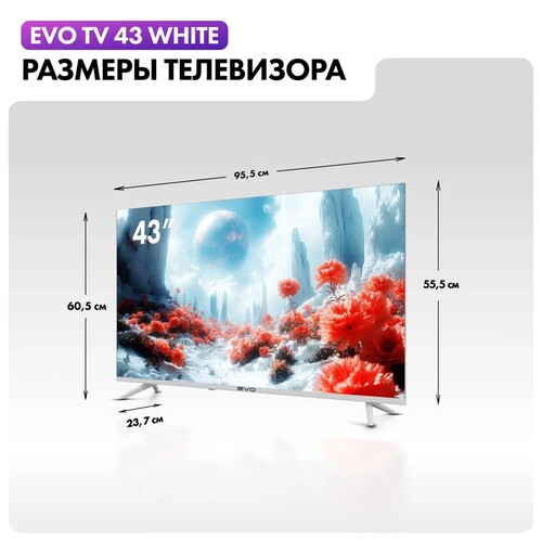 Купить 43" (109 см) Телевизор EVO TV 43 белый  5607184. Характеристики, отзывы и цены в Донецке