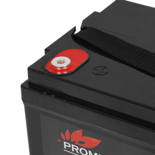 Купить Аккумуляторная батарея для ИБП Prometheus Energy PE 12100L  9213596. Характеристики, отзывы и цены в Донецке