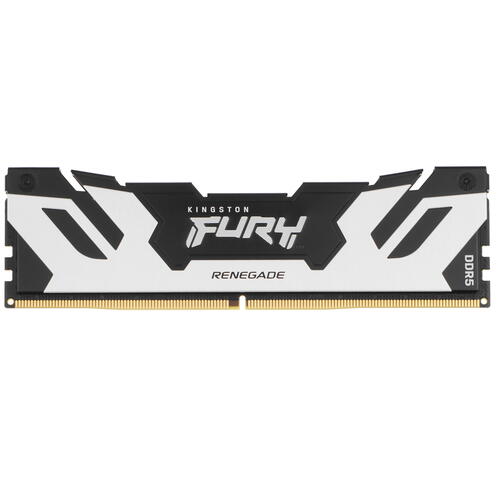 Купить Оперативная память Kingston FURY Renegade Silver [KF568C36RS-16] 16 ГБ  5089840. Характеристики, отзывы и цены в Донецке