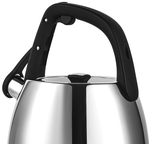 Купить Чайник для плиты Polaris Mela-2.5L серебристый  9140001. Характеристики, отзывы и цены в Донецке